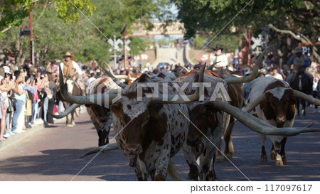 Cowboy World Cowboy World 117097617