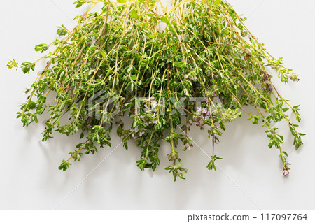 Fresh thyme l on white background. Hair treatment concept. Copy space. Flat lay Fresh thyme l on white background. Hair treatment concept. Copy space. Flat lay 117097764