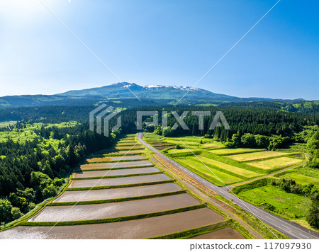 Mt. Chokai and rice fields along the Chokai Blue Line (Nikaho City, Akita Prefecture) Mt. Chokai and rice fields along the Chokai Blue Line (Nikaho City, Akita Prefecture) 117097930