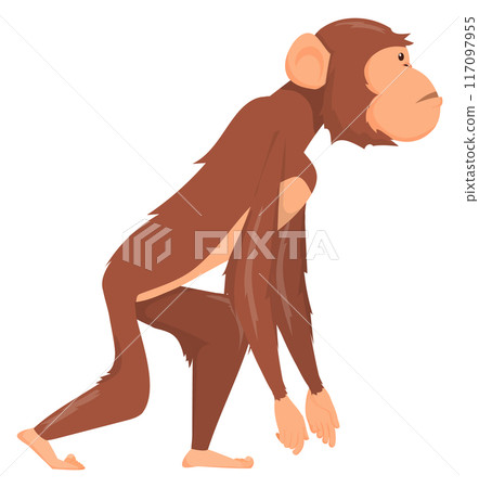 Standing ape. Prehistoric monkey animal walking side view 117097955