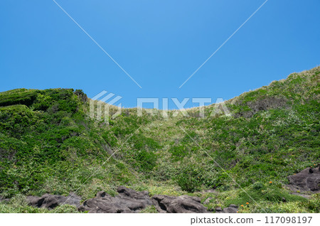 神奈川縣城島風景 神奈川縣城島風景 117098197