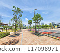 公園與藍天 117098971