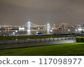 從Toyosu Gururi公園看見的彩虹橋樑 117098977