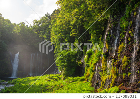 Shiraito Falls, a famous waterfall in Fujinomiya 117099031