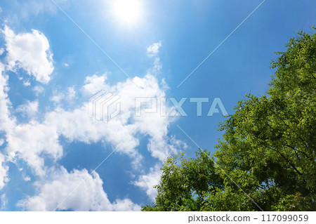 Summer clouds, trees and sun Summer clouds, trees and sun 117099059