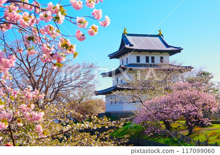 函館的松前城與櫻花（松前城跡福山城跡） 117099060