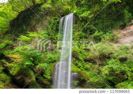 Sunset Falls, Fresh Greenery, Graceful Falls 117099065