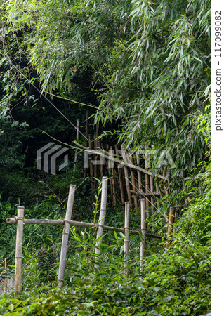 Mountain path covered with summer grass 117099082