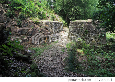 金山城跡展望台下虎口[群馬縣大田市] 117099201