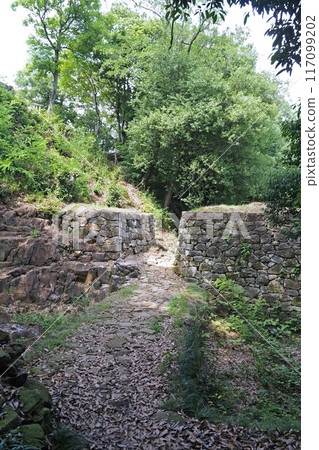 金山城跡展望台下虎口[群馬縣大田市] 117099202