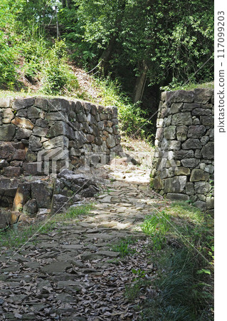 金山城跡展望台下虎口[群馬縣大田市] 117099203