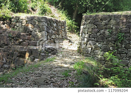 金山城跡展望台下虎口[群馬縣大田市] 117099204