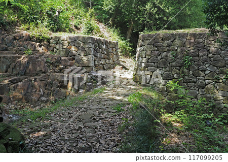 金山城跡展望台下虎口[群馬縣大田市] 117099205