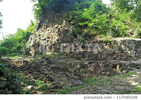 金山城跡堀切【群馬縣大田市】 金山城跡堀切【群馬縣大田市】 117099206