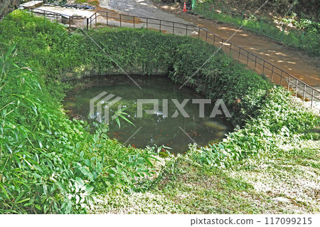 金山城跡月池【群馬縣大田市】 117099215