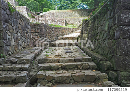 金山城跡的大手虎口[群馬縣大田市] 117099219