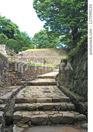 金山城跡的大手虎口[群馬縣大田市] 117099220