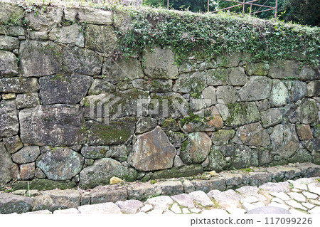 金山城跡的大手虎口[群馬縣大田市] 117099226