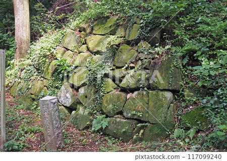 Remaining stone walls of the main enclosure of Kanayama Castle ruins [Ota City, Gunma Prefecture] 117099240