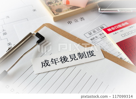 Adult Guardianship System 117099314