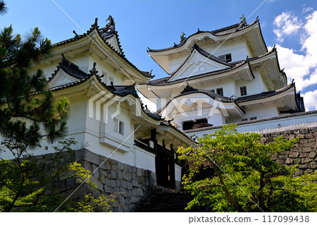Japan's Top 100 Castles, Iga Ueno Castle Japan's Top 100 Castles, Iga Ueno Castle 117099438