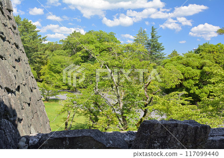 日本名城100選 伊賀上野城 117099440