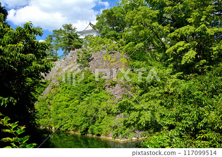 日本名城100選 伊賀上野城 117099514