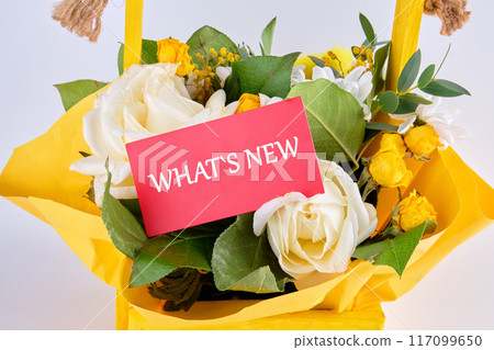 Modern social media communication. WHAT IS NEW words on a crimson jacket in a bouquet with flowers on a gray background Modern social media communication. WHAT IS NEW words on a crimson jacket in a bouquet with flowers on a gray background 117099650