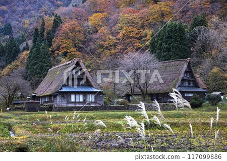 Gokayama in autumn 117099886