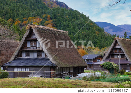 Gokayama在秋天 117099887