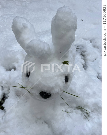 兔子是雪做的 117100922