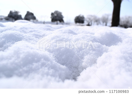 蓬鬆的積雪 117100983