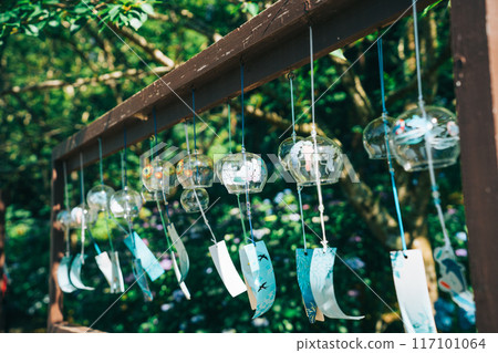 Many wind chimes in the lush greenery (Hinuma Nature Park) 117101064