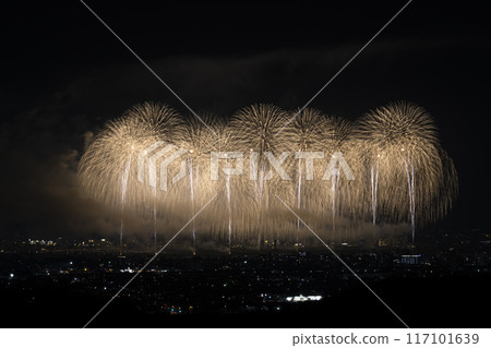 Nagaoka Festival Great Fireworks Festival Phoenix 117101639