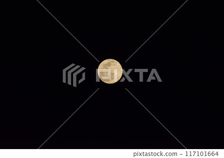 肉色滿月 肉色滿月 117101664