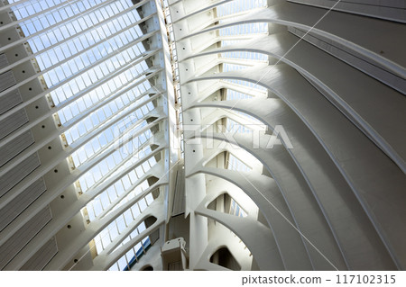 Close-up of abstract roof construction. Arts and Sciences City, Valencia. Spanish modern architecture, futuristic structure 117102315