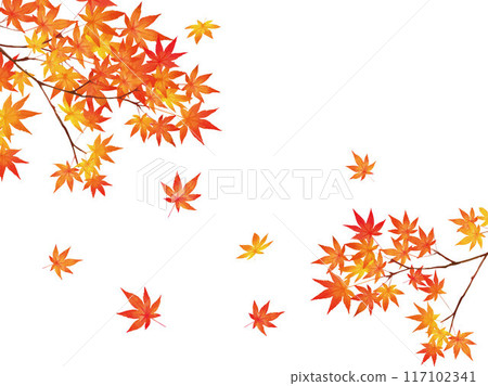 紅色秋葉美麗秋葉時尚矢量白色背景秋季背景素材框架 117102341