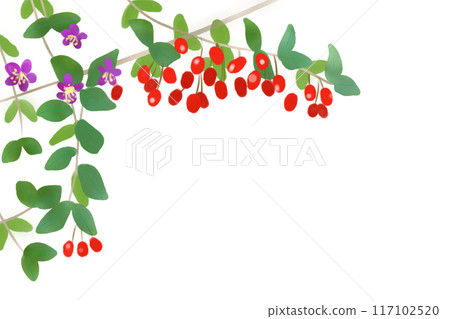 Goji berry card 1 117102520