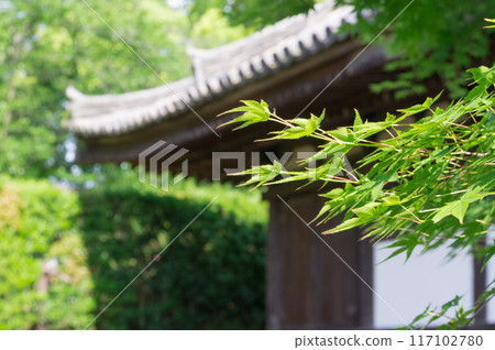 Kannon-do, Fushimi Ward, Kyoto City Kannon-do, Fushimi Ward, Kyoto City 117102780