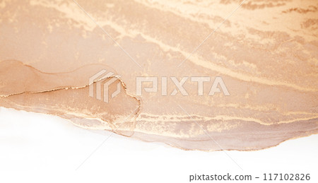 A close-up shot of a smooth, beige abstract artwork with a white background. The painting features soft, flowing lines and subtle texture A close-up shot of a smooth, beige abstract artwork with a white background. The painting features soft, flowing lines and subtle texture 117102826