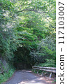 Settsukyo Park Promenade, Settsu, Takatsuki City, Osaka Prefecture 117103007