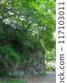 Settsukyo Park Promenade, Settsu, Takatsuki City, Osaka Prefecture 117103011