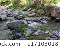 A river beside the promenade at Settsukyo Park, Settsu, Takatsuki City, Osaka Prefecture 117103018
