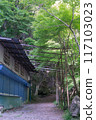 Houses on the promenade of Settsukyo Park, Settsu, Takatsuki City, Osaka Prefecture 117103023