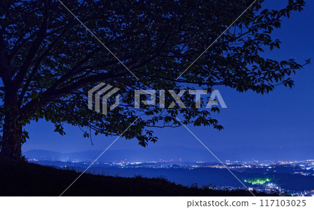 [奈良縣生駒市/寶山寺]重瓣櫻花夜景（生駒市/奈良市/木津川市） 117103025