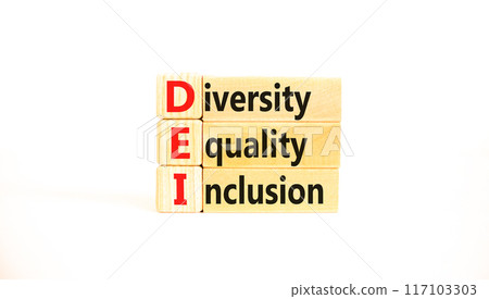 DEI diversity equality inclusion symbol. Concept words DEI diversity equality inclusion on blocks on beautiful white background. Business DEI diversity equality inclusion concept. Copy space. 117103303