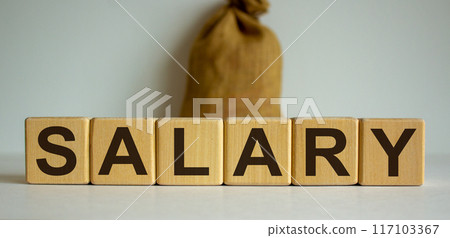 Concept word 'salary' on cubes on a beautiful white background, Large canvas bag. Concept word 'salary' on cubes on a beautiful white background, Large canvas bag. 117103367