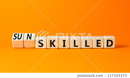 Sun skilled symbol. Concept words Skilled or Sun skilled on beautiful wooden blocks. Beautiful orange table orange background. Business sun skilled concept. Copy space. 117103373