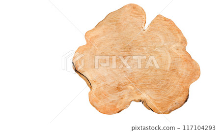 Cut-out image of a cross-section of a log on a white background with clipping paths. Cut-out image of a cross-section of a log on a white background with clipping paths. 117104293