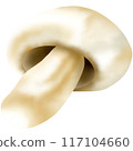 Button mushrooms are the immature 117104660
